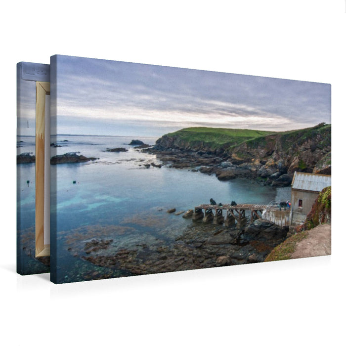 Premium Textil-Leinwand Lizard Point