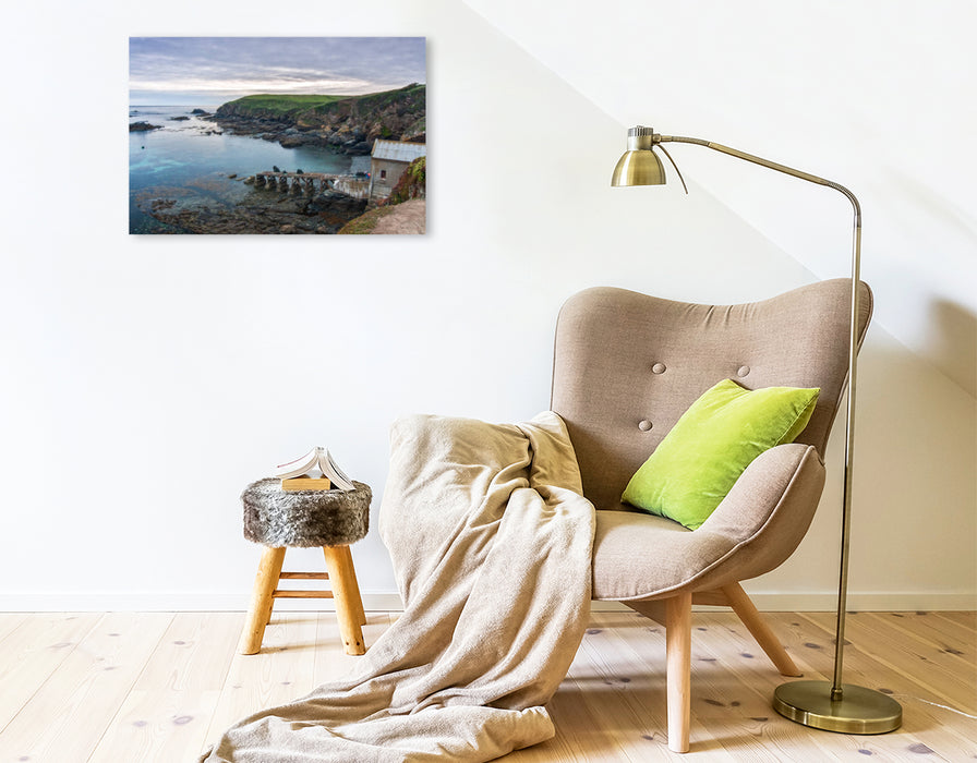 Premium Textil-Leinwand Lizard Point