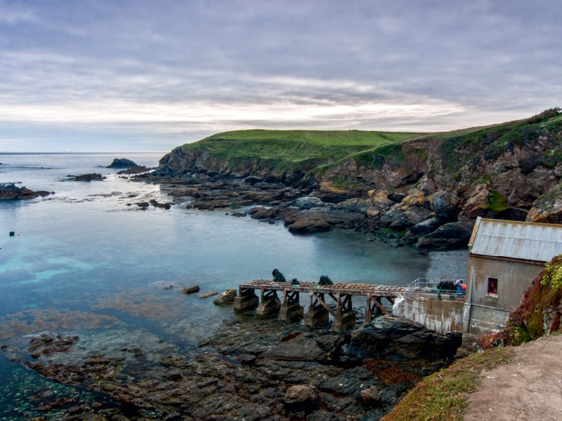 Lizard Point - CALVENDO photo puzzle