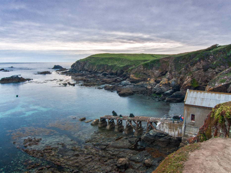 Lizard Point - CALVENDO photo puzzle