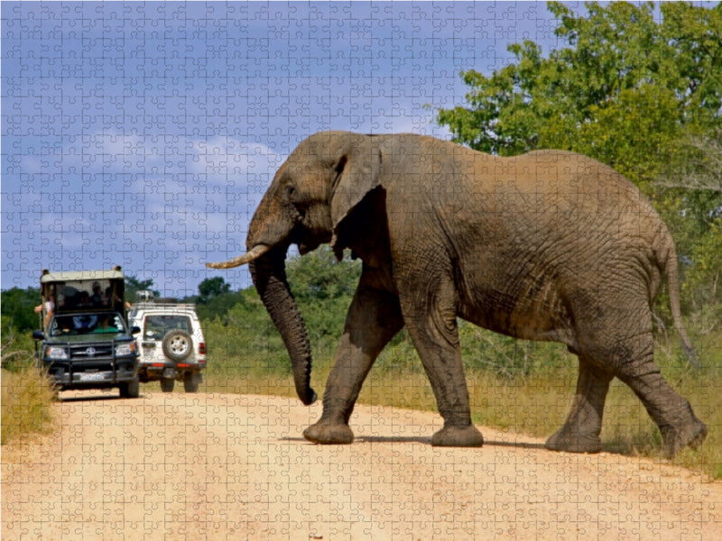 Encounter in South Africa - CALVENDO photo puzzle 