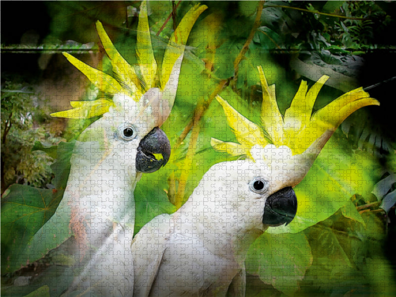 Kakadu 1000 Teile Puzzle quer - CALVENDO Foto-Puzzle'