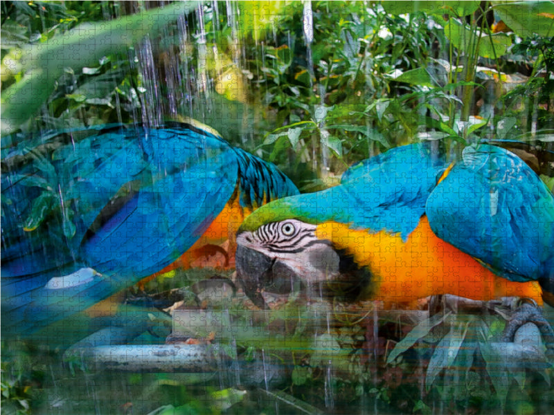Blauer Ara Papagei 1000 Teile Puzzle quer - CALVENDO Foto-Puzzle'