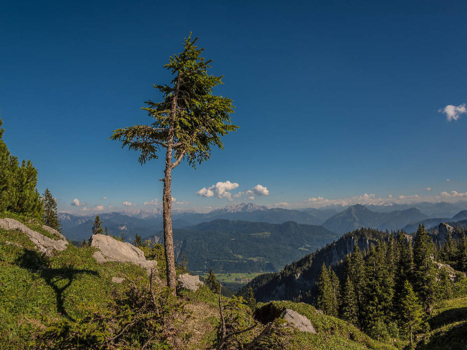 Au Sonnenalm - Puzzle photo CALVENDO 