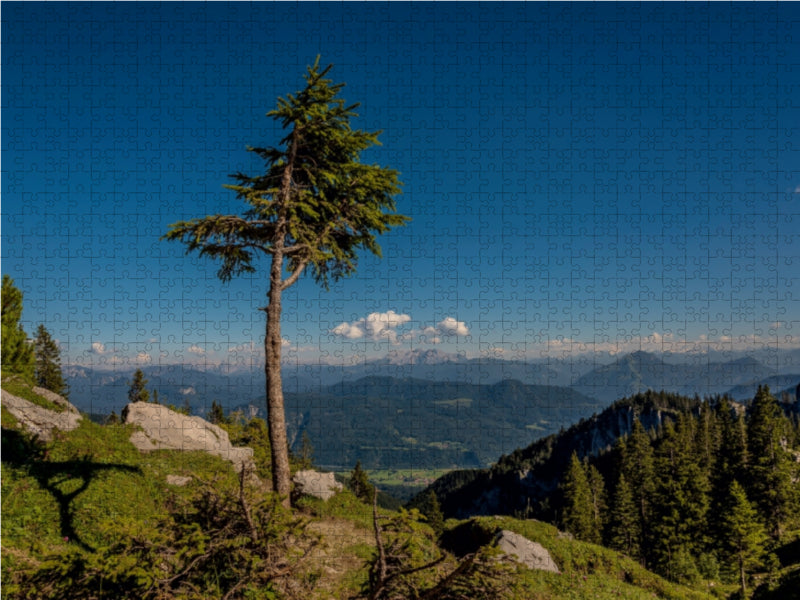 At the Sonnenalm - CALVENDO photo puzzle 