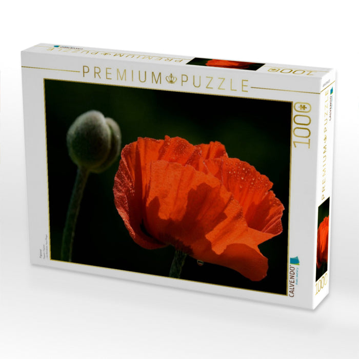 Papaver - CALVENDO Foto-Puzzle'