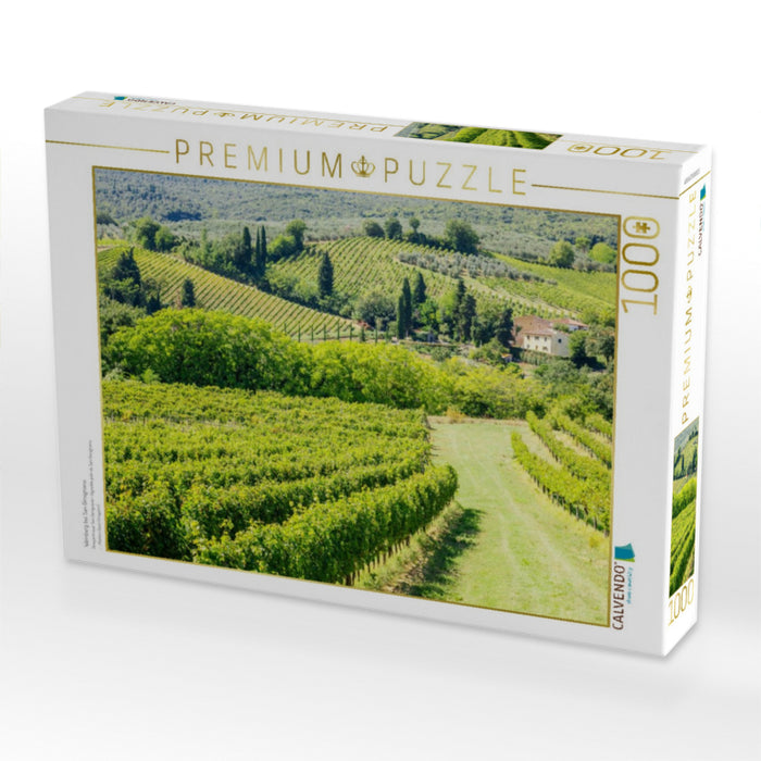 Weinberg bei San Gimignano - CALVENDO Foto-Puzzle'