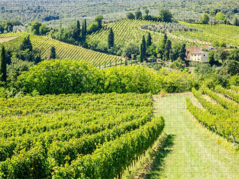 Weinberg bei San Gimignano - CALVENDO Foto-Puzzle'