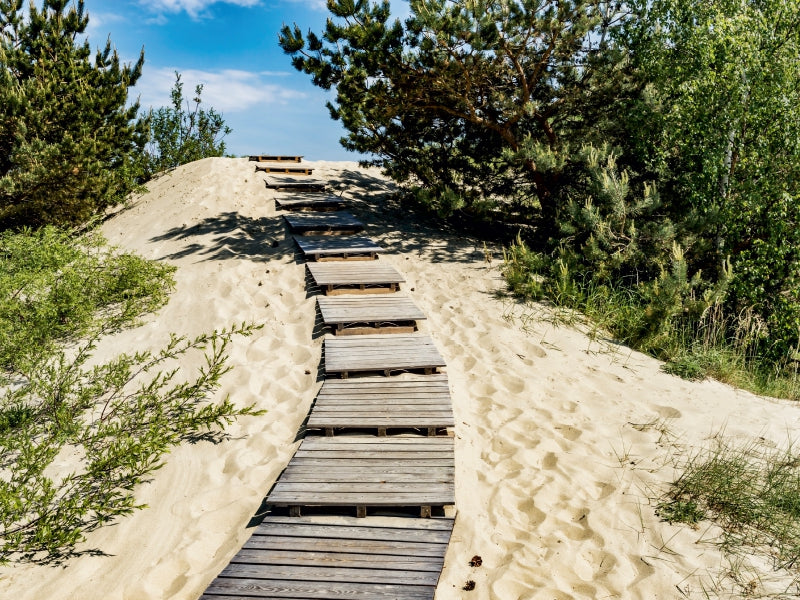 Climb to the High Dune - CALVENDO photo puzzle 