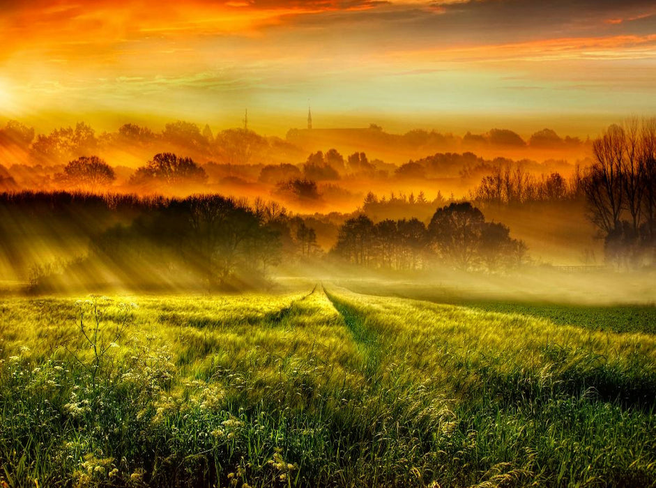 Sonnenaufgang über dem Getreidefeld - CALVENDO Foto-Puzzle'