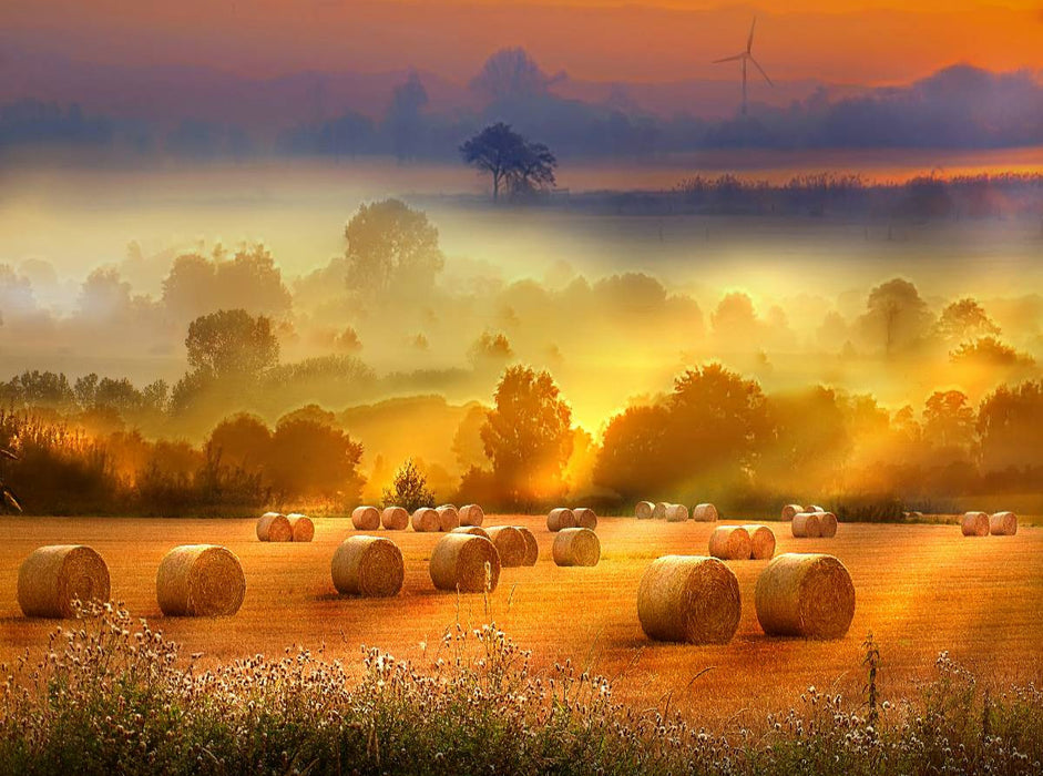 Strohballen auf dem Feld - CALVENDO Foto-Puzzle'