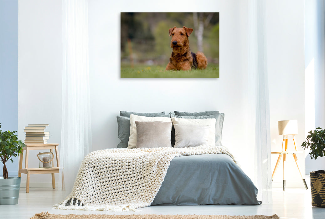 Toile textile premium Toile textile premium 120 cm x 80 cm paysage Airedale Terrier 