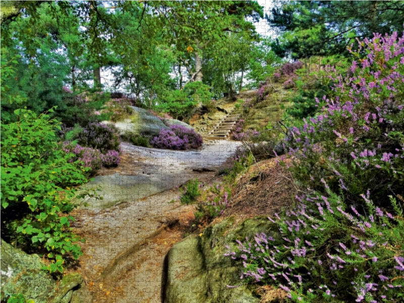 Heideblüte auf dem Rauenstein 1000 Teile Puzzle quer - CALVENDO Foto-Puzzle'