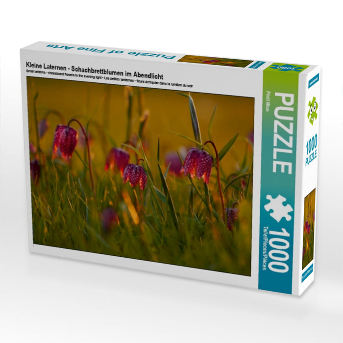Kleine Laternen - Schachbrettblumen im Abendlicht 1000 Teile Puzzle quer - CALVENDO Foto-Puzzle'