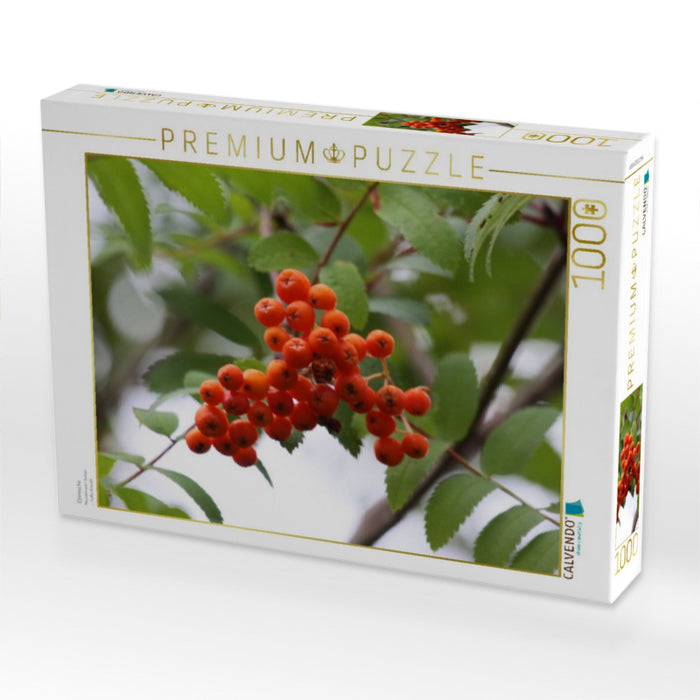 Eberesche - CALVENDO Foto-Puzzle'