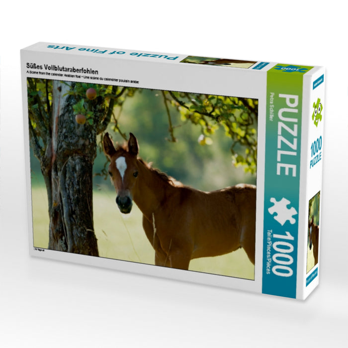 Süßes Vollblutaraberfohlen 1000 Teile Puzzle quer - CALVENDO Foto-Puzzle'