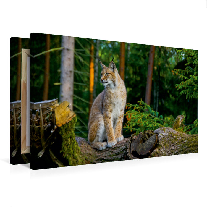 Toile textile premium Toile textile premium 120 cm x 80 cm paysage SUR POINT DE VUE 