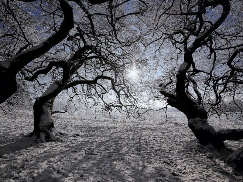 le sud au soleil d'hiver - puzzle photo CALVENDO 