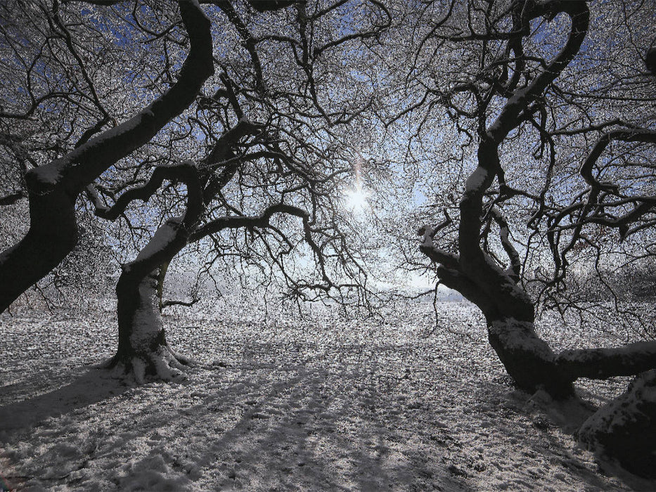 le sud au soleil d'hiver - puzzle photo CALVENDO 