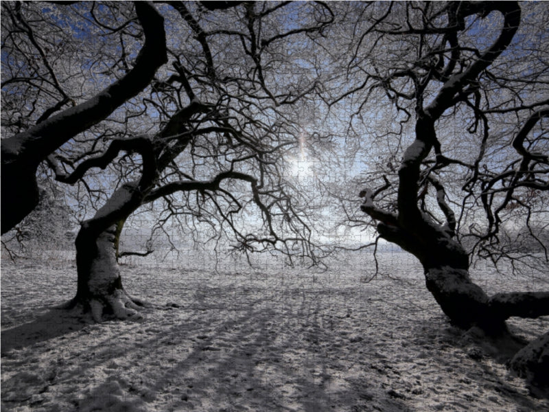 le sud au soleil d'hiver - puzzle photo CALVENDO 