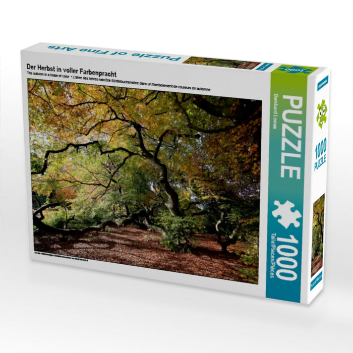 L'automne en couleurs - Puzzle photo CALVENDO 