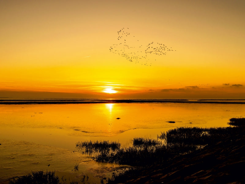 Sonnenuntergang 1000 Teile Puzzle quer - CALVENDO Foto-Puzzle'