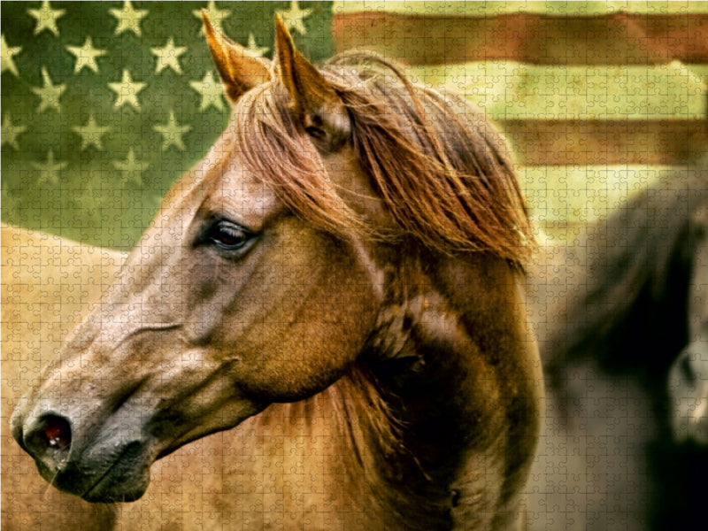 American Quarter Horse 1000 Teile Puzzle quer - CALVENDO Foto-Puzzle'