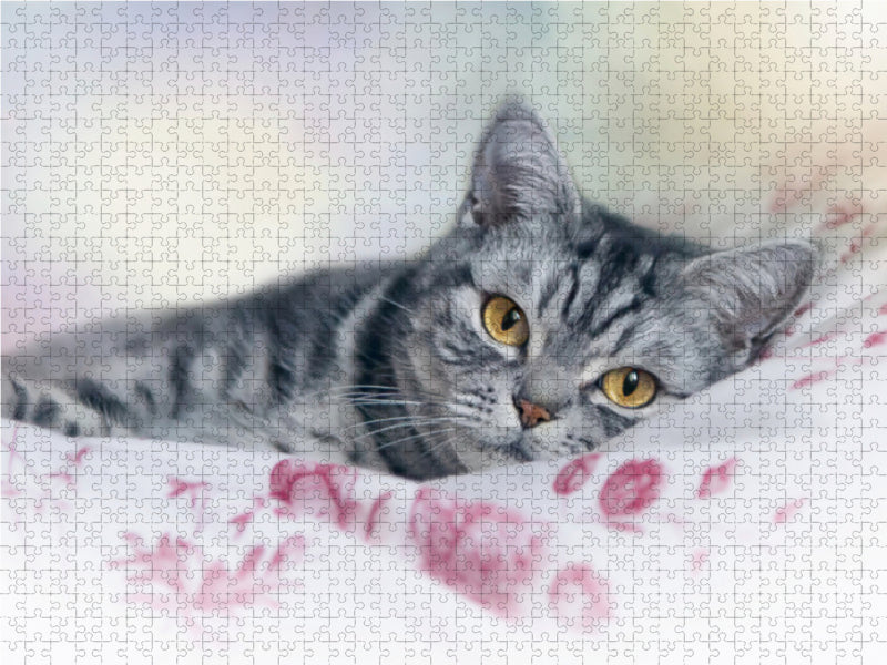 Britisch Kurzhaar -  Katzen zum Verlieben 1000 Teile Puzzle quer - CALVENDO Foto-Puzzle'