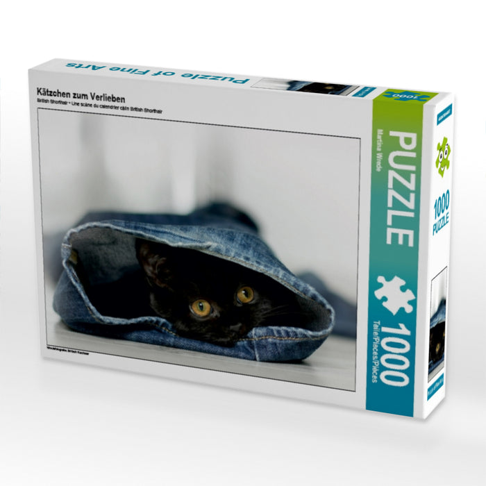 Kittens to fall in love with - CALVENDO photo puzzle 