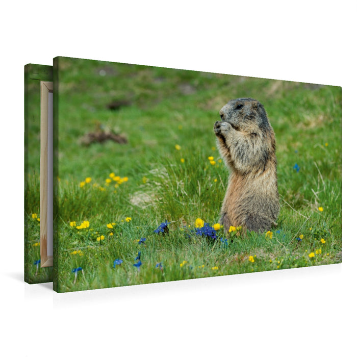 Premium Textil-Leinwand Der Feinschmecker