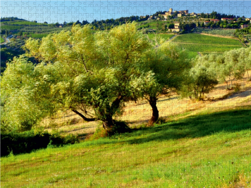 Olivenbaum 1000 Teile Puzzle quer - CALVENDO Foto-Puzzle'