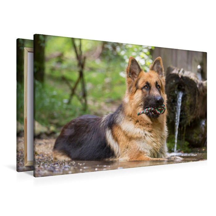Toile textile premium Toile textile premium 120 cm x 80 cm paysage Lex 
