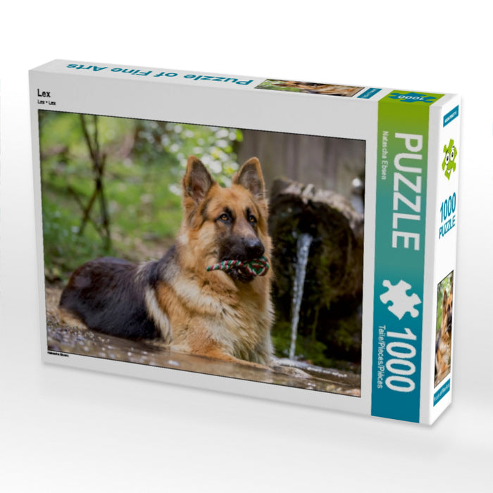 Lex 1000 Teile Puzzle quer - CALVENDO Foto-Puzzle'