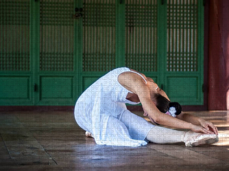 Mainhattan Ballerina im koreanischen Garten - CALVENDO Foto-Puzzle'