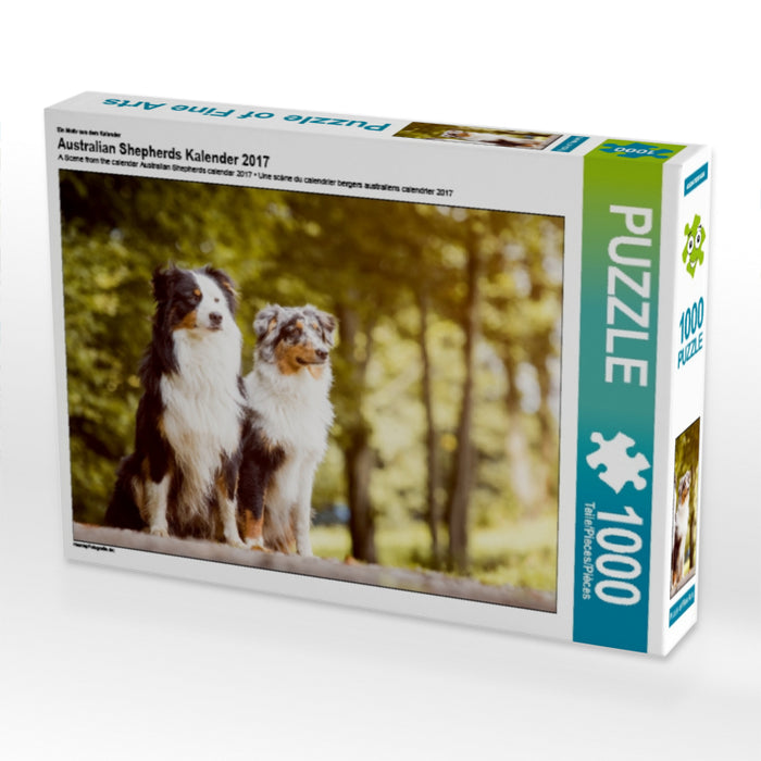 Calendrier 2017 des Bergers Australiens - Puzzle photo CALVENDO 