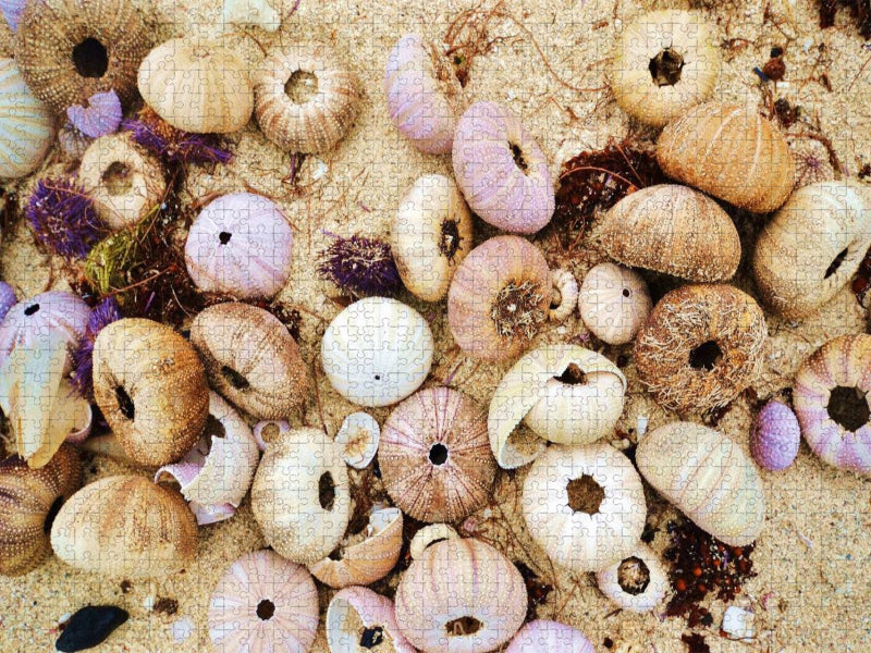 Mauritius, Seeigelhüllen - CALVENDO Foto-Puzzle'