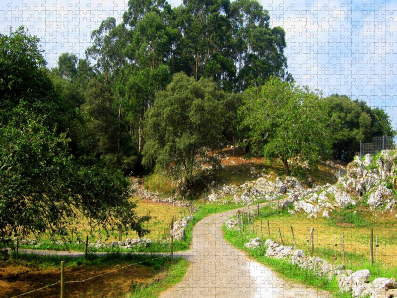 Alles ist grün - CALVENDO Foto-Puzzle'