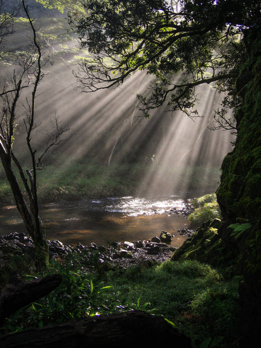Sonnenaufgang Wailua Falls - Kauai - CALVENDO Foto-Puzzle'