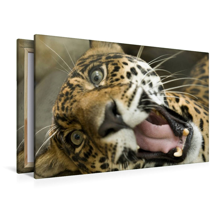 Premium Textil-Leinwand Leopard