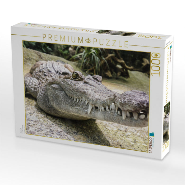 Krokodil - CALVENDO Foto-Puzzle'