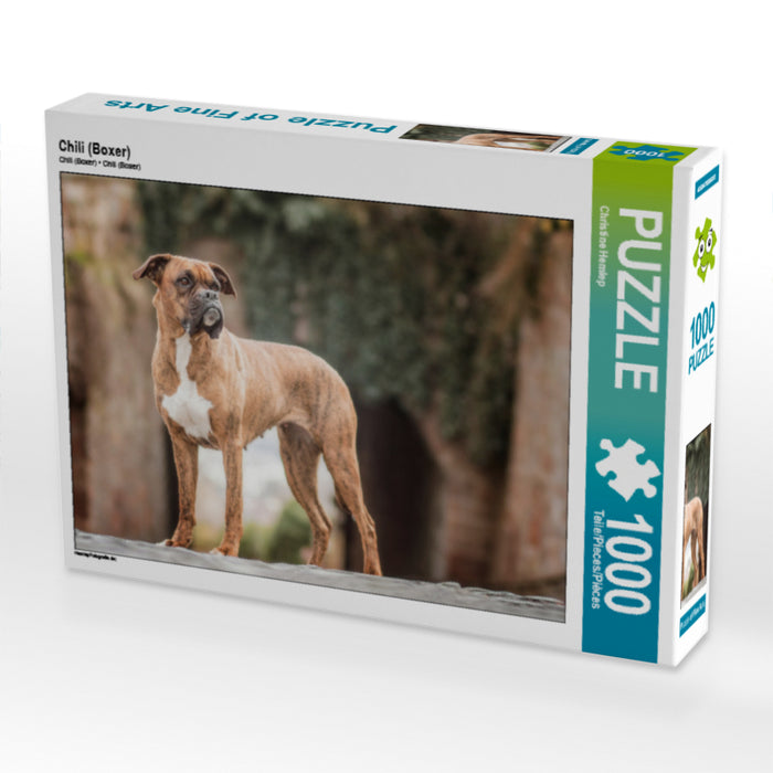 Chili (Boxeur) - Puzzle photo CALVENDO 
