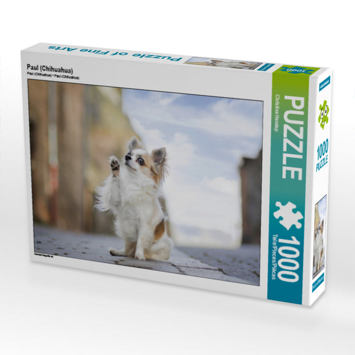 Paul (Chihuahua) 1000 Teile Puzzle quer - CALVENDO Foto-Puzzle'