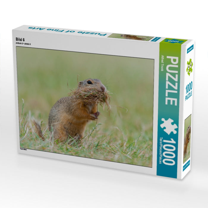 Image 6 - Puzzle photo CALVENDO 