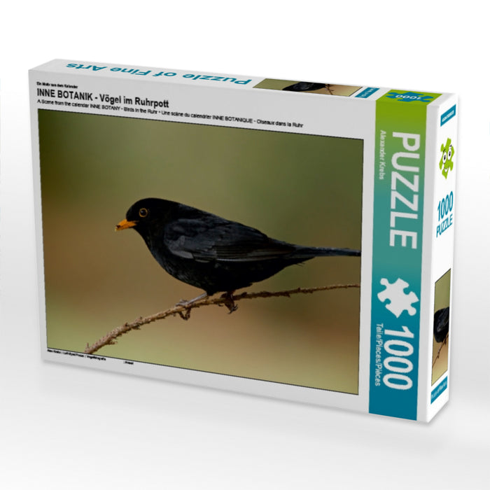 INNE BOTANIK - Birds in the Ruhr area - CALVENDO photo puzzle 
