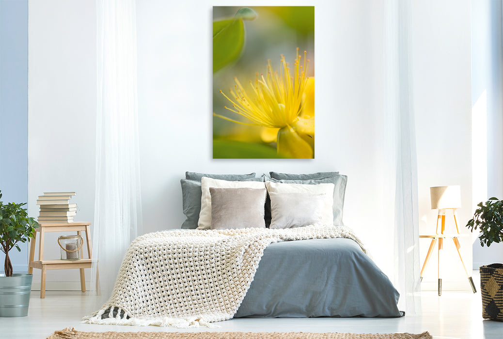 Premium Textil-Leinwand Premium Textil-Leinwand 80 cm x 120 cm  hoch Gelber Blütentraum