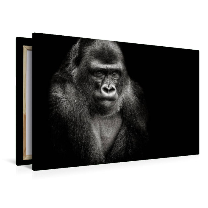 Premium Textil-Leinwand Gorilla