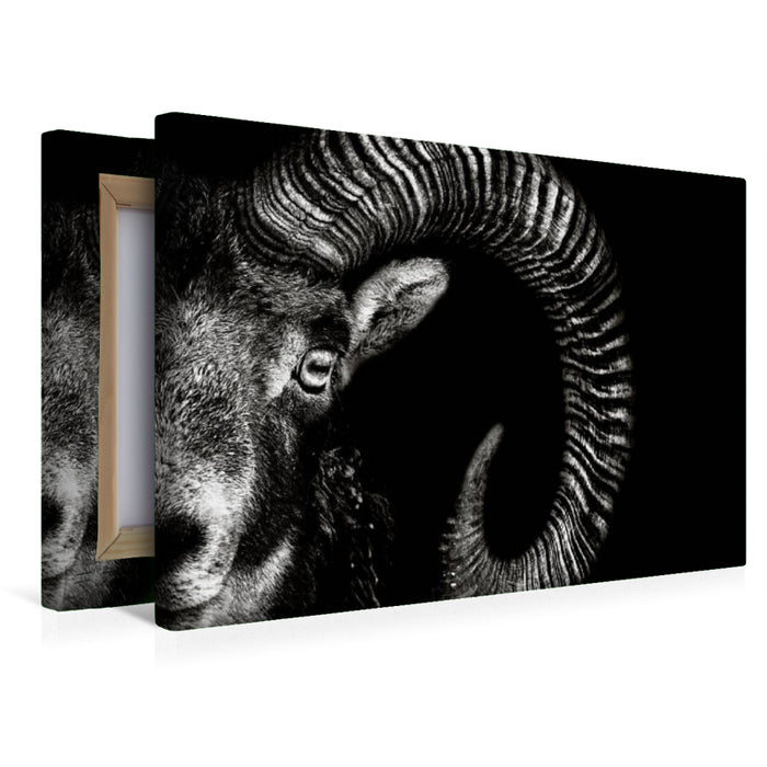Toile textile premium Toile textile premium 45 cm x 30 cm travers mouflon 