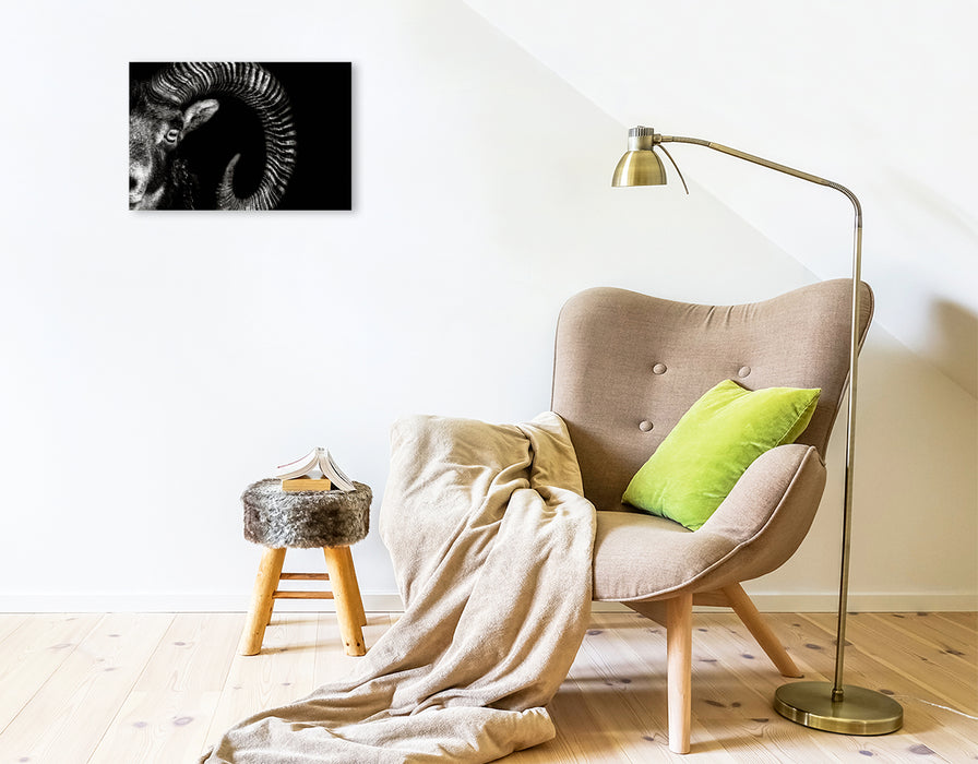 Toile textile premium Toile textile premium 45 cm x 30 cm travers mouflon 