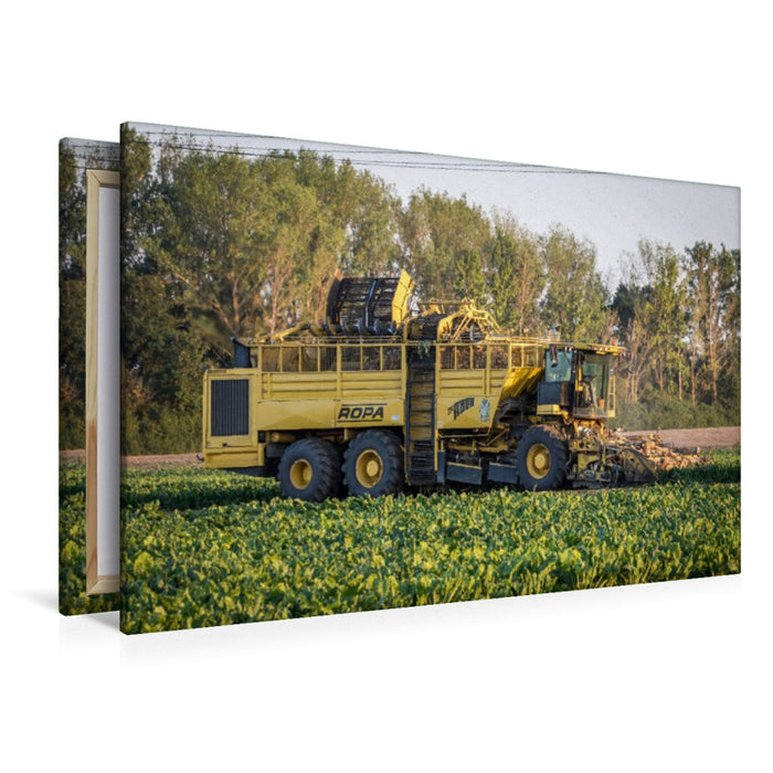 Premium Textil-Leinwand Rübenernte