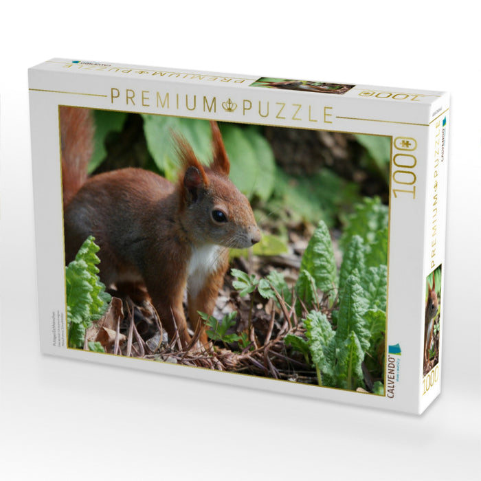 Putziges Eichhörnchen - CALVENDO Foto-Puzzle'